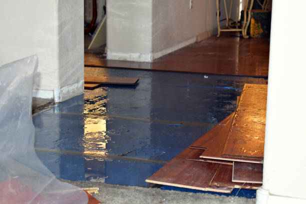 Professional Burst Pipe Cleanup technician working in Salvisa, KY